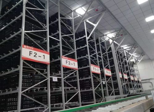 智能仓储大势所趋，雷柏机器人持续输出优秀立库方案